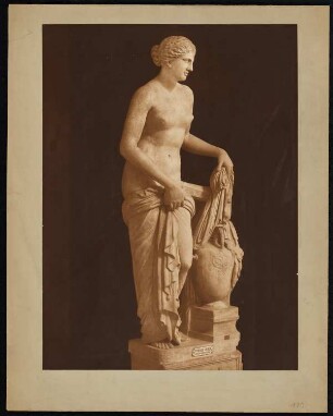 Vatikanische Museen, Rom Venere Gnidia: Ansicht