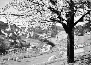 Glotterbad: Schwarzwaldklinik; Blick zum Sanatorium