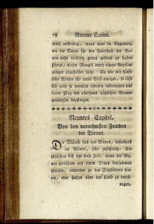 Neuntes Capitel. Von den vornehmsten Feinden der Bienen.
