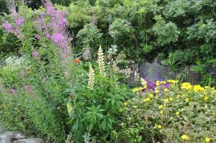 Gutshaus wird saniert : Blick in die Park. Das verfallene ehemals deutsche Gutshaus wird jetzt saniert und soll als Tagungsort genutzt werden. Aufgenommen am 13. Juli 2009 in Nakomiady (Eichmedien) in Masuren