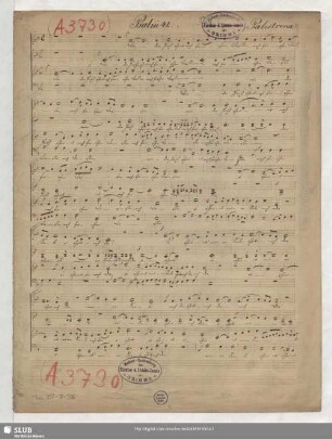 Sicut cervus desiderat - Mus.997-D-506 : V (4)