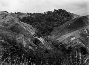 Graslandschaft auf Sumatra : Blick über eine zerfurchte Graslandschaft auf Sumatra.
