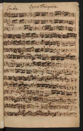 Sonata