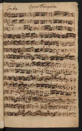 Sonata