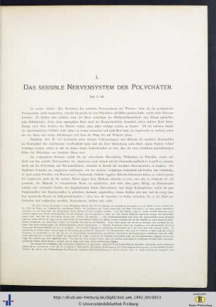 Das sensible Nervensystem der Polychäten.
