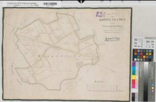 Horstmar (Horstmar), Leer (Horstmar), Borghorst (Steinfurt), Teilung des Alstfeldes, Haferfeldes und Koppelfeldes, Bl.3 Reinkarte Flur Koppelfeld