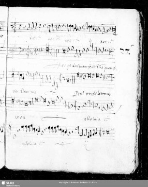 27 Iacobus Gallus: Haec est dies quam fecit Dominus