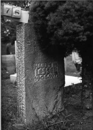 Grabstein 175