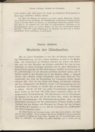 Neunter Abschnitt. Muskeln der Gliedmaßen.