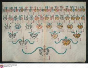 Ahnenprobe des Christian Hans v. Warnestedt. - ausgefertigt 1707 März 9, Pergament, Kopie, Zeichner: mehrere Hände