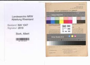 Entnazifizierung Albert Stork , geb. 03.07.1898 (Automechaniker)