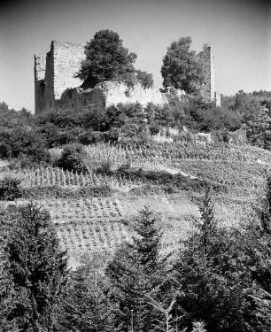 Ruine Schauenburg