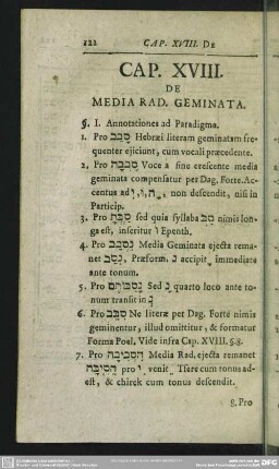 Cap. XVIII. De Media Rad. Geminata