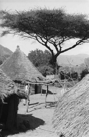 Einige Strohhütten (Reise durch Italienisch-Ostafrika, Sept./Okt. 1937 – 3. Fahrt: Asmara - Keren und zurück)