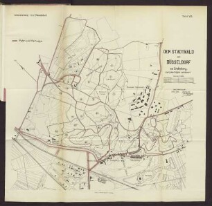 Tafel VIII. Der Stadtwald von Düsseldorf am Grafenberg