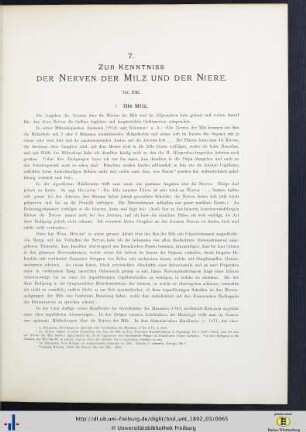Zur Kenntniss der Nerven der Milz und der Niere.