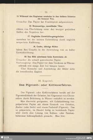 XI. Kapitel - Das Pigment- oder Kohleverfahren