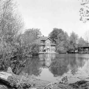 Mühlenteich: vorn liegender Baumstamm: links Sträucher: hinten Mühle zwischen Bäumen: rechts Schuppen