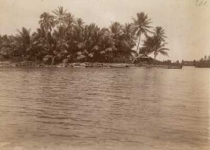 Kanalsystem (Hamburger Südsee-Expedition 1908-1910)