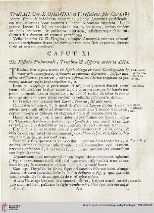 Caput XI: De Fistula Pulmonali, Trachea et aspera arteria dicta