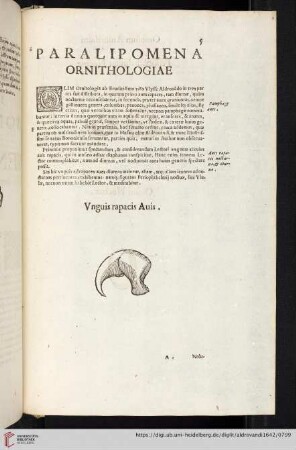 [Paralipomena Accvratissma Historiae omnivm Animalivm]