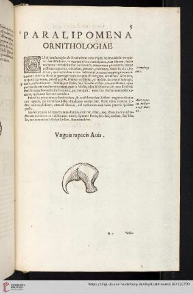 [Paralipomena Accvratissma Historiae omnivm Animalivm]