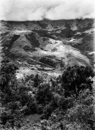 Andenvegetation : Berglandschaft