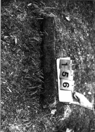 Grabstein 156 (Index: 99789878) Zustand: Fragment: Grabstein 156