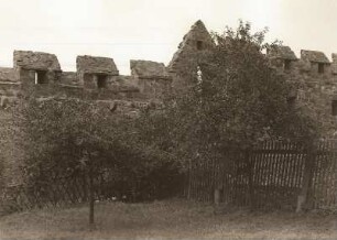 Burg Schönburg