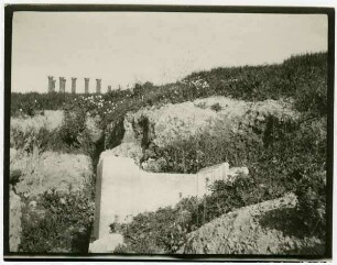 beim Artemistempel [Gerasa]