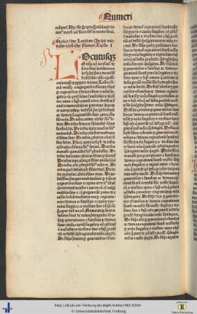 Vaiedaber idest liber Numeri