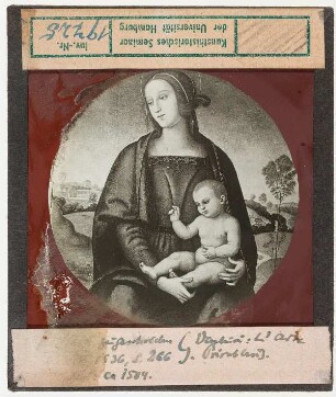 zu Raffael: Madonnenbild, Zuschreibung