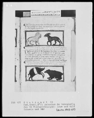 Antonius de Mercatello, Liber de arte memoria cum commentario — Textseite mit zwei Miniaturen, Folio 39recto