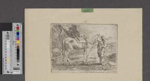 [Orientalischer Reiter mit Pferd]