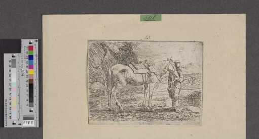 [Orientalischer Reiter mit Pferd]