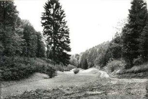 Obereichsfeld. Kreuzgraben (links Nebental des Friedatales) bei Lengenfeld unterm Stein (Kreis Mühlhausen). Blick talauf nach Süden