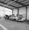 Werner Brockmöller Autohandel: Industriestraße: Zweigbetrieb für Marke "Audi": Eröffnung: Innenaufnahme: Werkhalle: drei Pkw-"Audi"-Modelle, Motorhaube, Heckklappe, Tür geöffnet