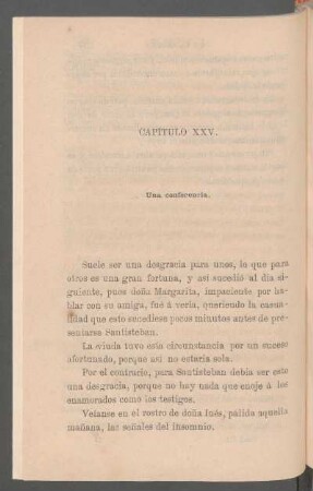 Capítulo XXV. - Una conferencia.