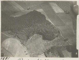 Petershauser Holz? (1100 m)