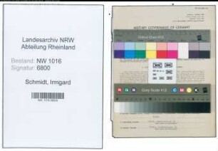 Entnazifizierung Irmgard Schmidt , geb. 09.05.1909 (Aerztin)