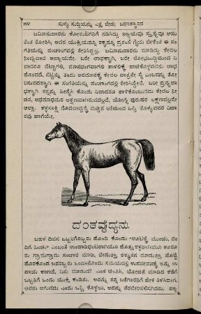 54-57, daṃtavaidyanu