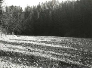 Polenztal bei der Bockmühle. Talaue mit Märzenbecherbeständen