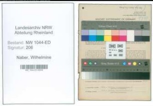 Entnazifizierung Wilhelmine Naber , geb. 12.03.1895 (Lehrerin)