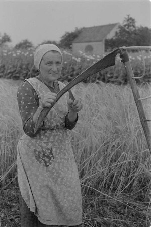 Landwirtin mit Sense. : Ratarka na polu z kosu