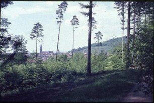 Blick auf Freiburg und das Münster