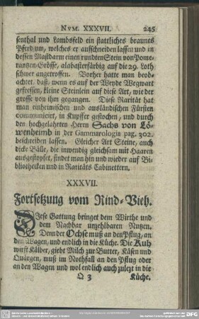 XXXVII. Fortsetzung vom Rind-Vieh