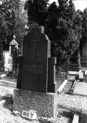 Grabstein 324 (Index: 99797140) Material: Granit Zustand: gut Maße HxBxT: 200x90x30 cm Beschreibung: Stele, 3/4 hohe Seitenflügel, Sockel, geschwungener Abschluß, rechteckig erhöht Symbolik: Lorbergirlanden, Ranken, eckige Voluten: Grabstein 324