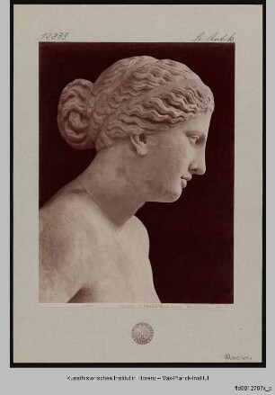 Venus Colonna