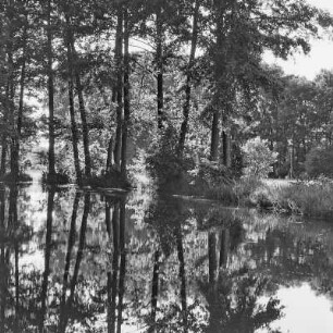 Trotzkefließ in Leipe. Bäume spiegeln sich im Wasser des Flusses. : Groble w Lipjem. Štomy špiheluja so we wodźe rěki.