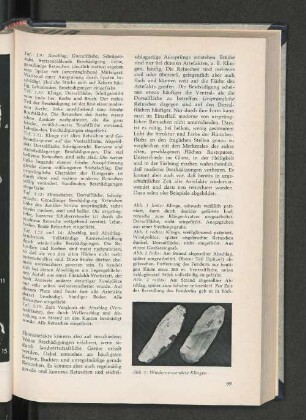 Wiederverwendete Klingen